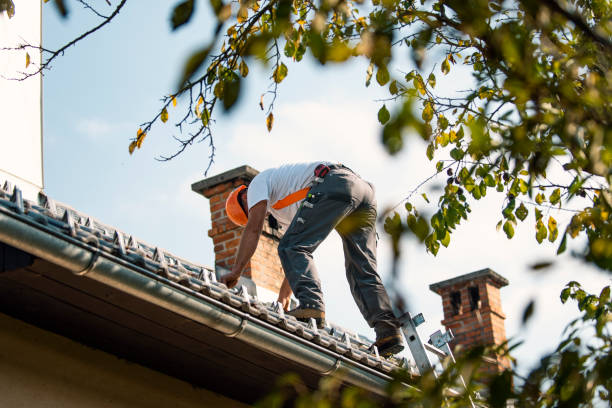 Best Roof Ventilation Installation  in Powhatan Point, OH